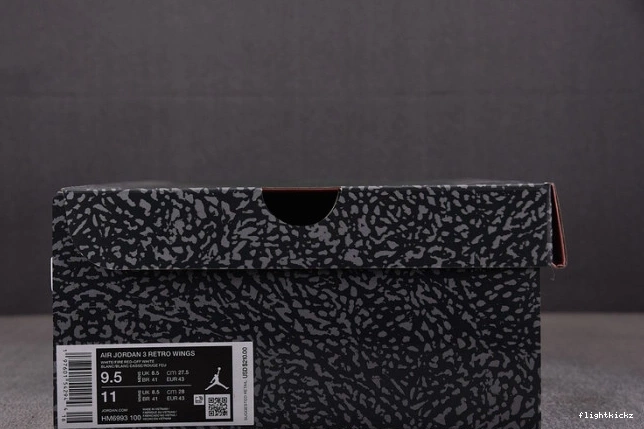 Jordan HM6993-100 Retro 3 Wings 0812